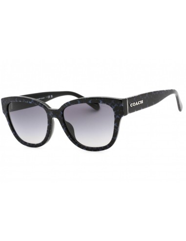 Coach 0HC8379F Sunglasses Comparez plus de prix