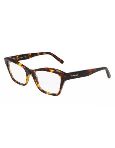 Salvatore Ferragamo SF2951N Eyeglasses offre 