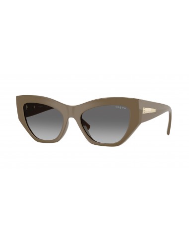 Vogue Eyewear 5607S Sunglasses livraison gratuite