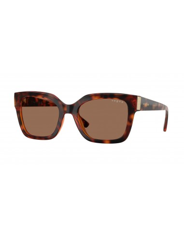 Vogue Eyewear 5613SB Sunglasses les ctes